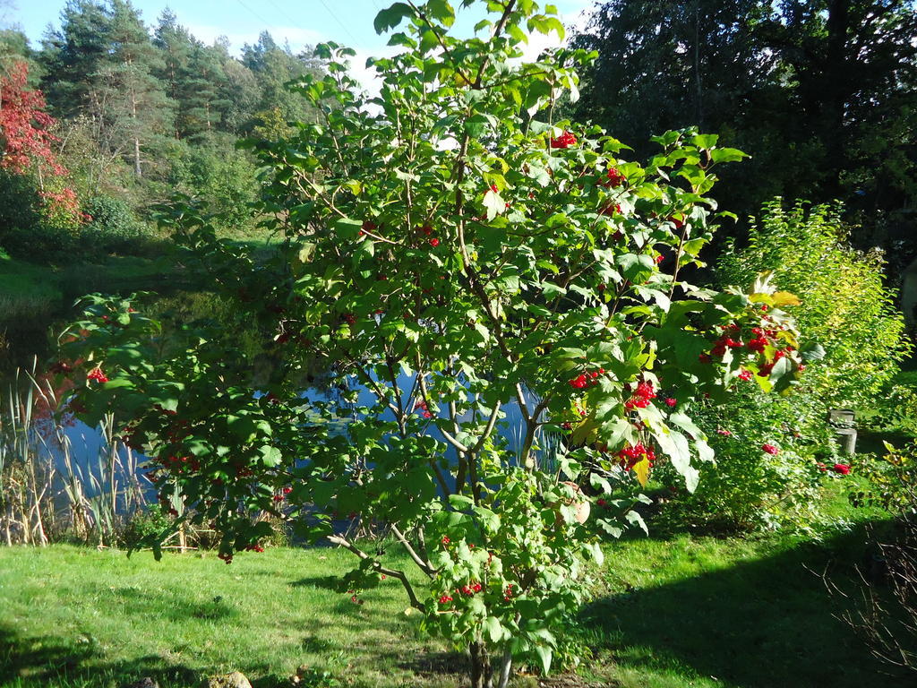 Homestay Roja Wilna Exterior foto